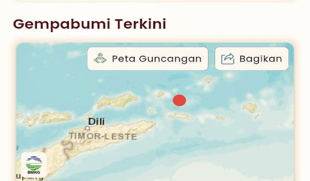 Gempa Dahsyat Magnitudo 6,5 Guncang Maluku Barat Daya, Warga Panik Berhamburan